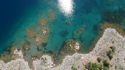 Van Gölü'nde yaşayan ikinci balık türü büyük heyecan yaşattı!