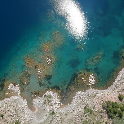 Van Gölü'nde yaşayan ikinci balık türü büyük heyecan yaşattı!