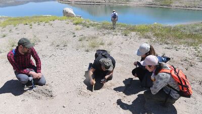 Kayseri'deki 7,5 milyon yıllık fosiller dünyanın ilgisini çekiyor