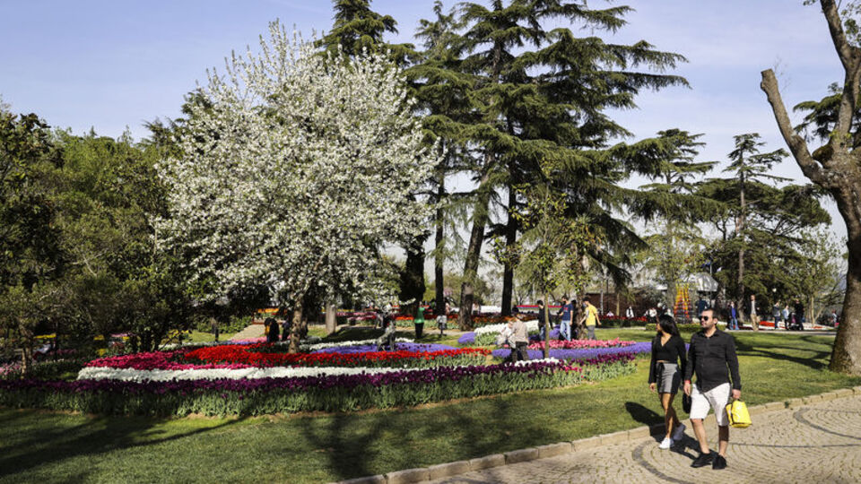 Emirgan Korusu'nda izinsiz ağaç kesimine para cezası