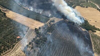 Foça'da orman yangını başladı