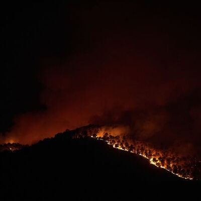Avrupa'da sıcak hava dalgasının ortasında orman yangınlarıyla mücadele!