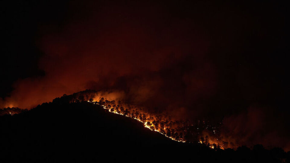 Avrupa'da sıcak hava dalgasının ortasında orman yangınlarıyla mücadele!