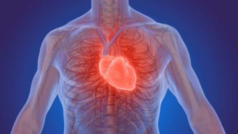 Kalp hastalarına önemli 'sıcak hava' uyarıları!