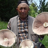 Yağışların ardından ortaya çıktı!