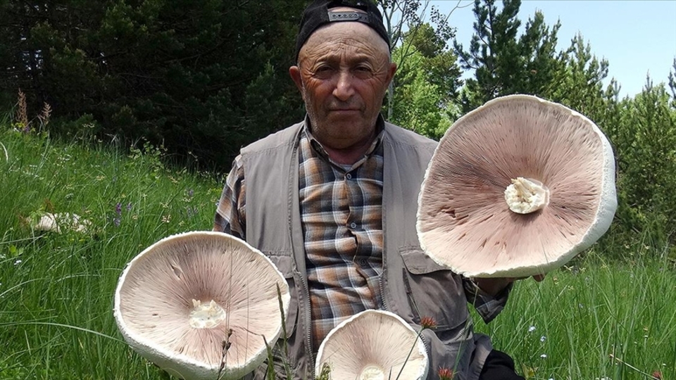 Yağışların ardından ortaya çıktı!