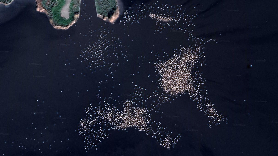 Google Earth'ten gözlendi!