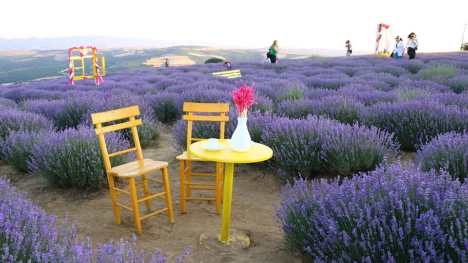 Tekirdağ'ın doğal fotoğraf stüdyosu