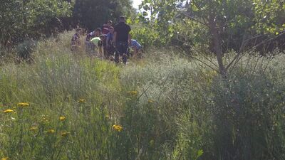 Kayıp olarak aranıyordu, ölü bulundu