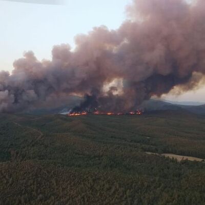 Marmaris'te orman yangını