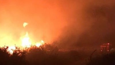 Kaş'ta makilik alan yangını