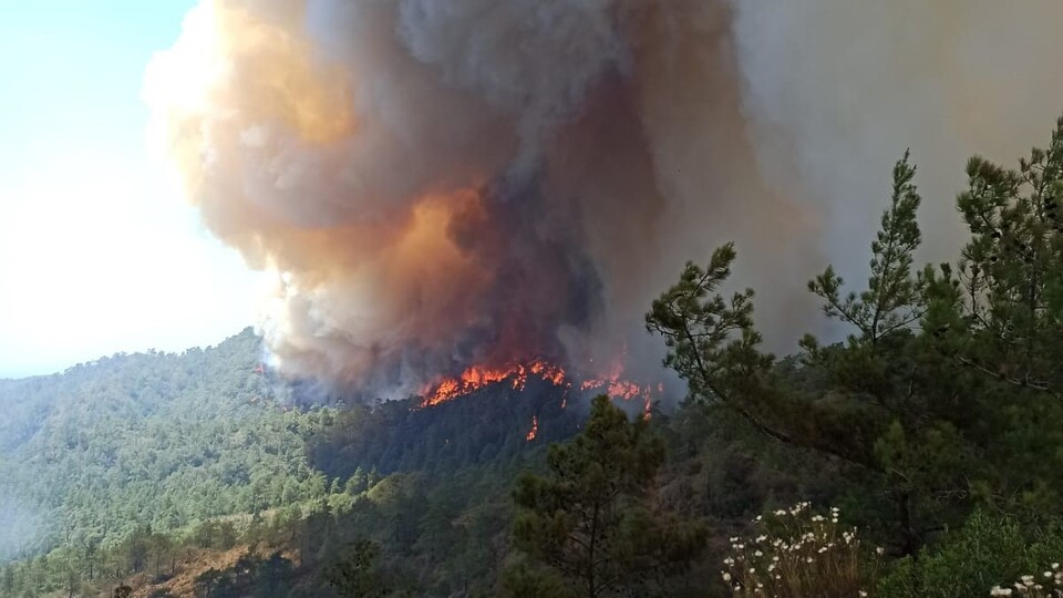 Yangın bölgesinde hava nasıl olacak?
