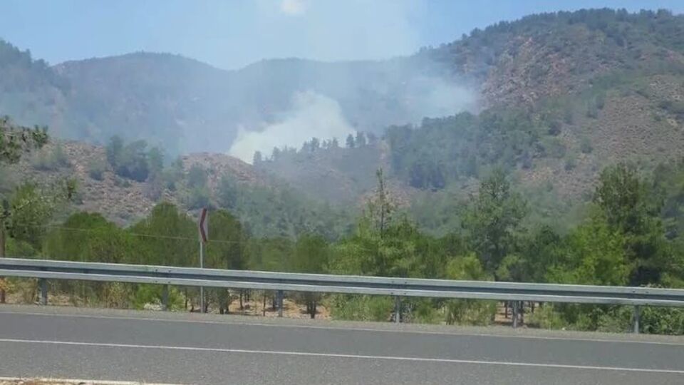 Köyceğiz'deki yangın kontrol altında