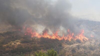 KKTC'de son yılların en büyük orman yangını