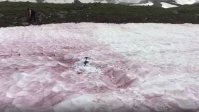 Alpler'de kırmızı kar