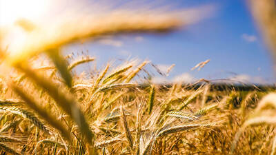 Emtia piyasasında satışlar hızlandı