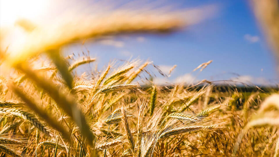 Emtia piyasasında satışlar hızlandı