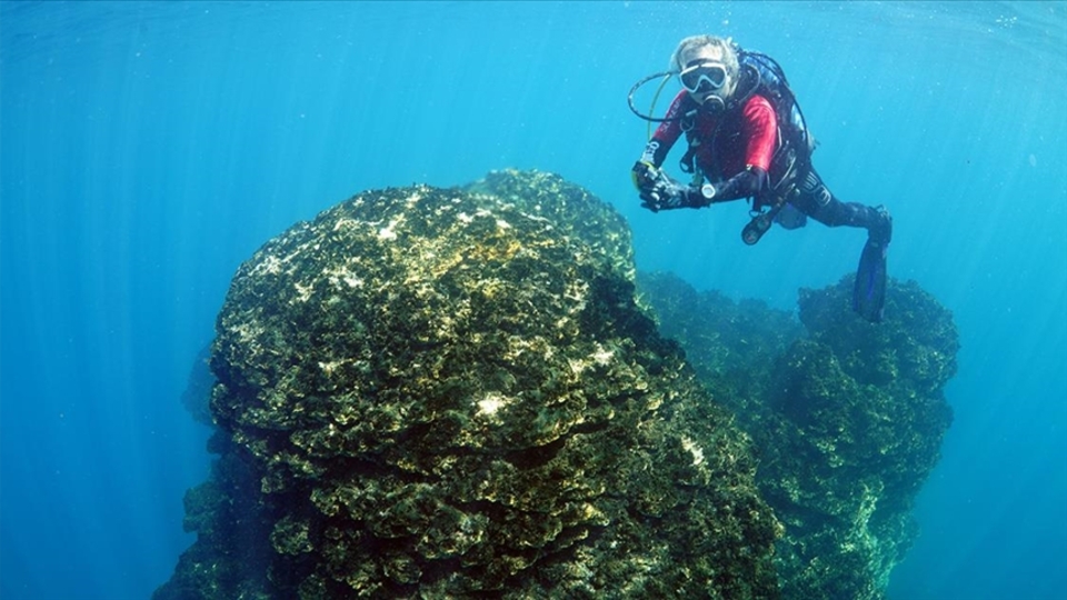 Van Gölü'nde kaydedildi... 23 metreyi buluyor!