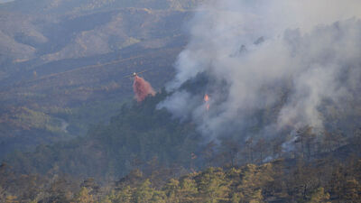 Marmaris'te yangınla mücadele!