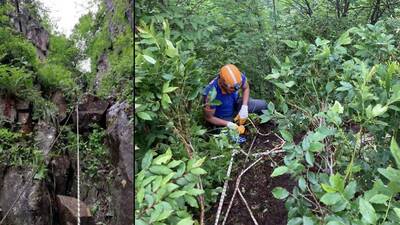 İneğiyle 400 metrelik uçuruma düşen kadın öldü