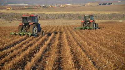 Tarımsal destekler yatırılıyor