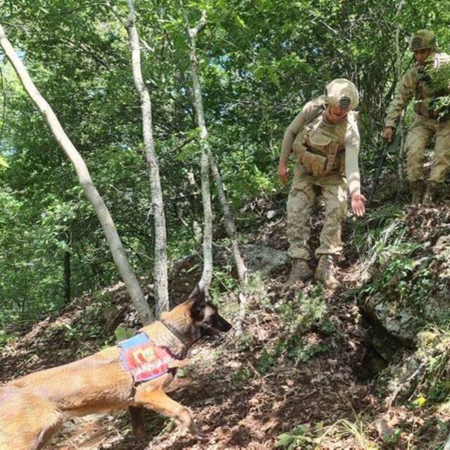 Hatay'da tuzaklanmış patlayıcı imha edildi