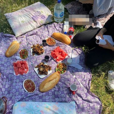 Piknikte mide bulandıran olay!