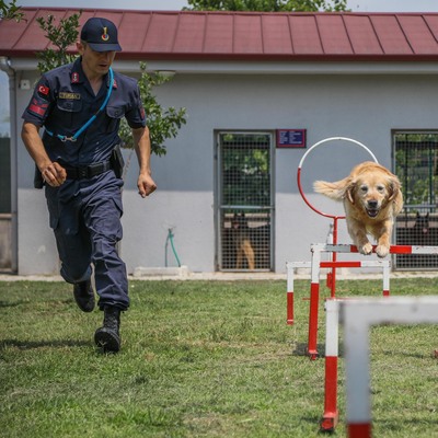 Marmaris'teki yangının başlangıç noktasını 'Kadro' belirledi