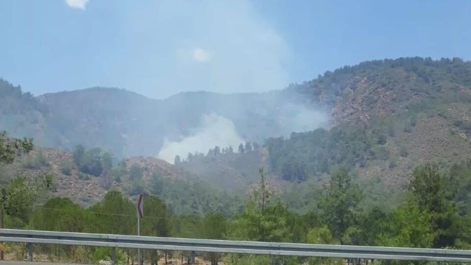 Çanakkale'de de orman yangını çıktı