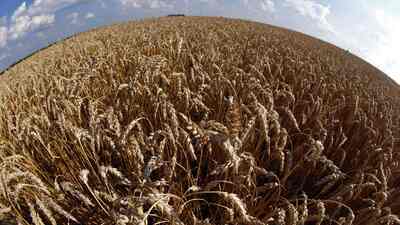 Gıda krizinde 'kıyamet' kapıda mı?