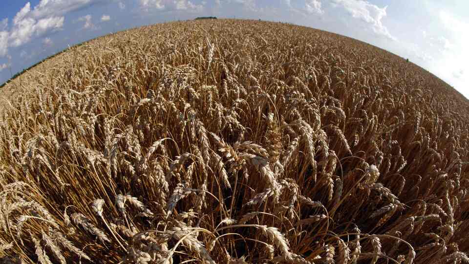 Gıda krizinde 'kıyamet' kapıda mı?