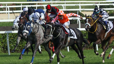 96. Gazi Koşusu yarın yapılacak