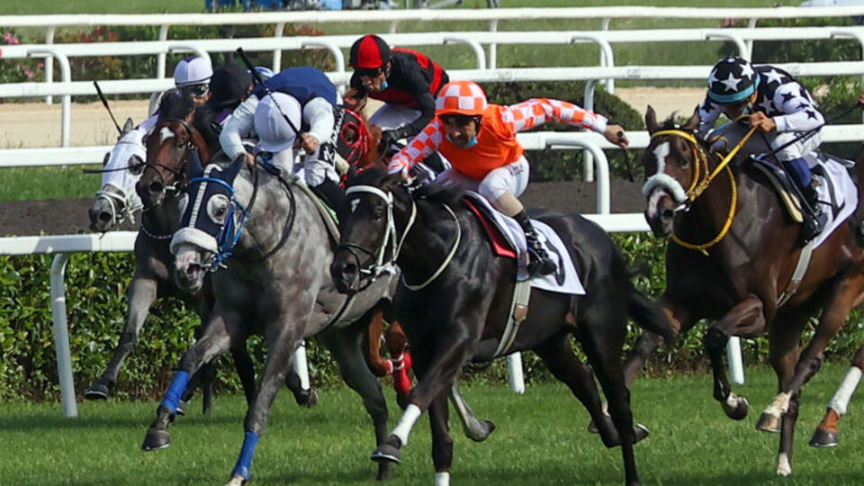 96. Gazi Koşusu yarın yapılacak