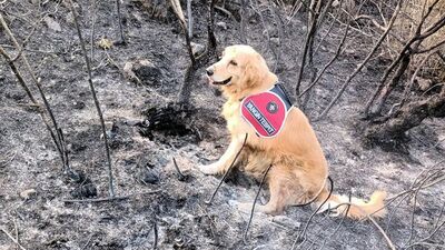 'Kadro' buldu, tutuklandı