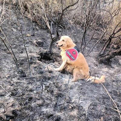 'Kadro' buldu, tutuklandı