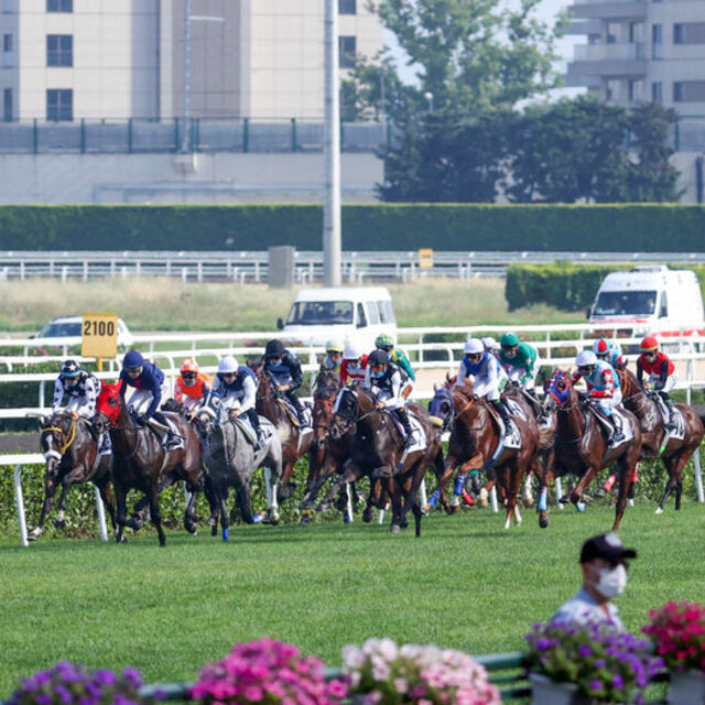 Büyük gün geldi çattı!