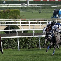 Gazi Koşusu için geri sayım başladı