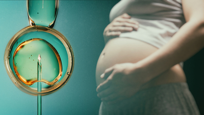 Tüp bebek transferi sonrası dikkat edilmesi gerekenler