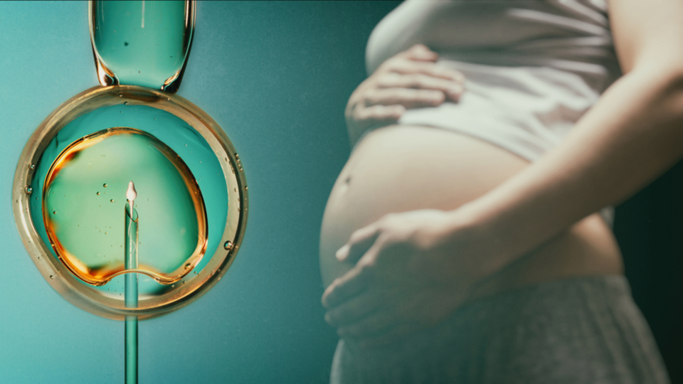 Tüp bebek transferi sonrası dikkat edilmesi gerekenler