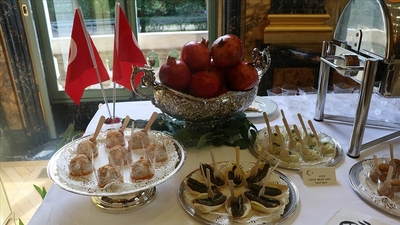 Arnavutluk'ta Türk Kültür Haftası başladı