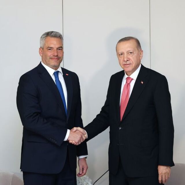 Cumhurbaşkanı Erdoğan, Avusturya Başbakanı ile görüştü