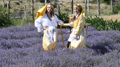 Tekirdağ Lavanta Tarla Günleri´nde renkli görüntüler