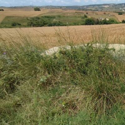 Muhtar isyan etti: Boşuna uğraşmayın