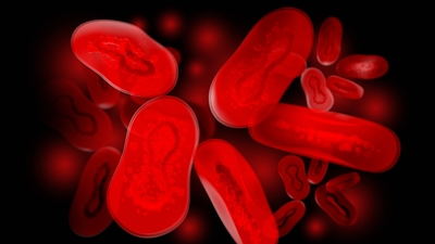 Prof. Dr. Azap'tan "telaşlanacak durum yok" açıklaması!