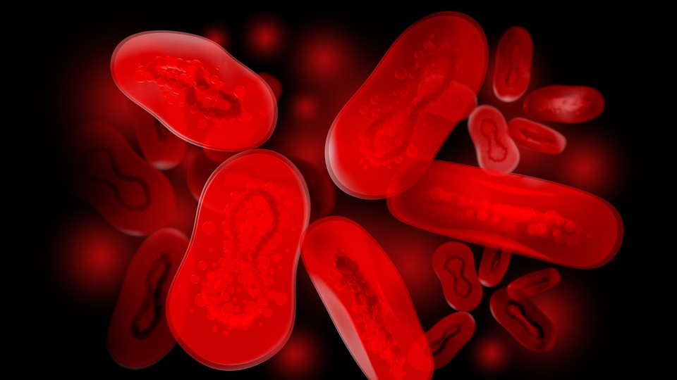 Prof. Dr. Azap'tan "telaşlanacak durum yok" açıklaması!