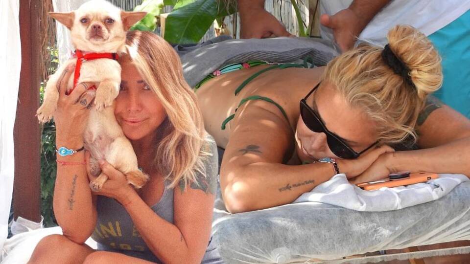 'Köpekleri ayırmaya çalışırken düştüm!'