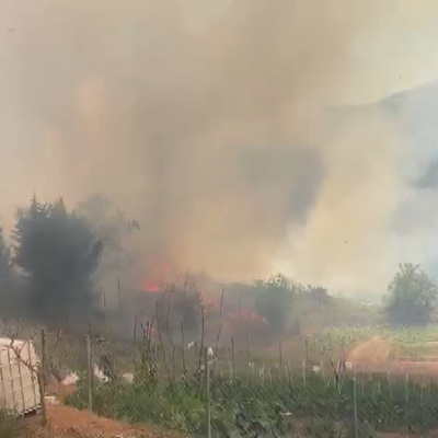 Beykoz'da orman yangını!