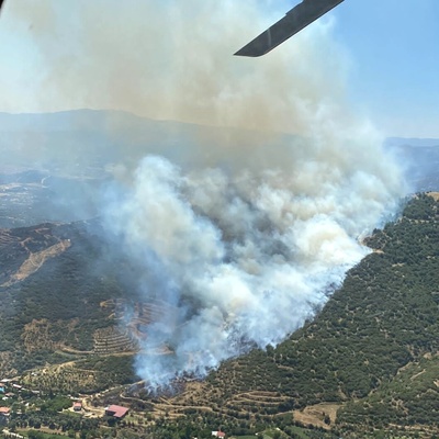 Çanakkale ve İzmir'de orman yangını çıktı!