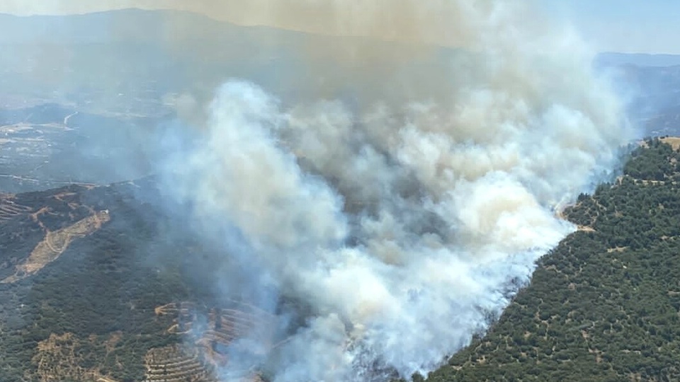 Çanakkale ve İzmir'de orman yangını çıktı!