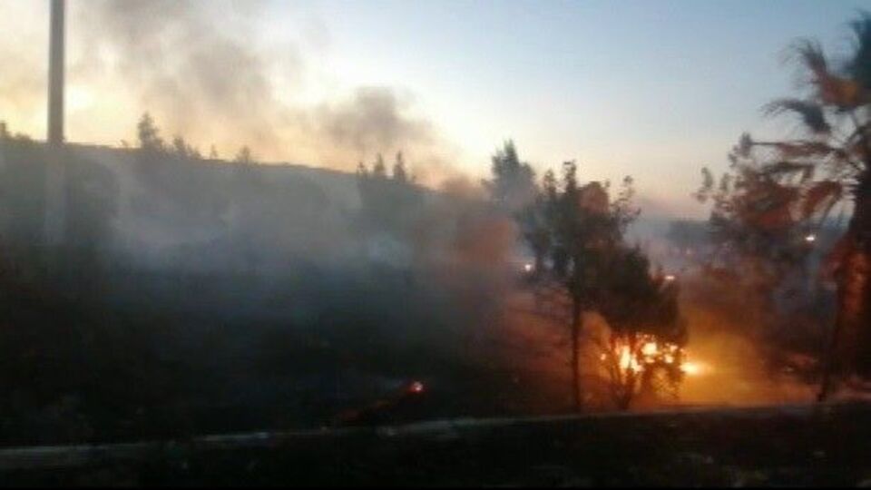 İzmir'de orman yakan zanlı tutuklandı